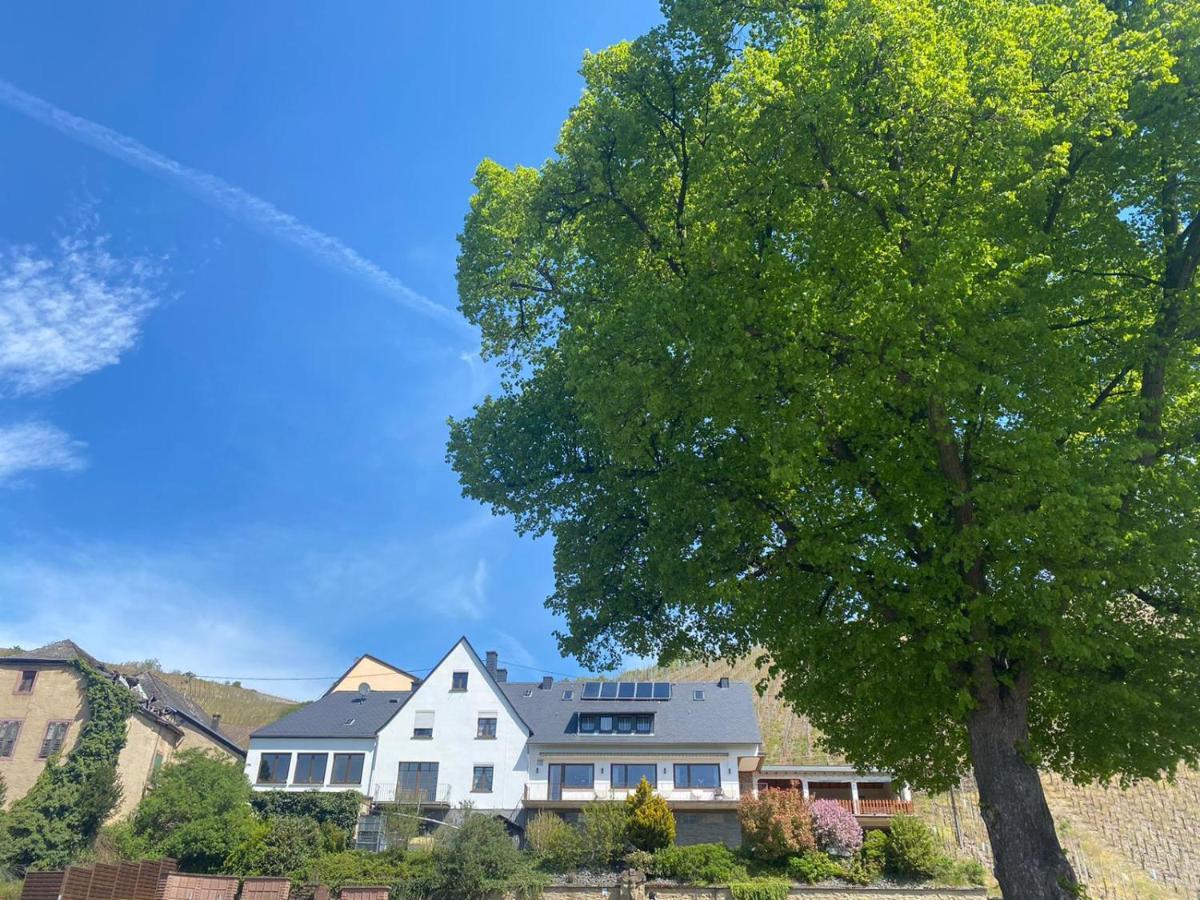 Wein Und Gastehaus Marlene Pohl Hotel Kinheim Ngoại thất bức ảnh